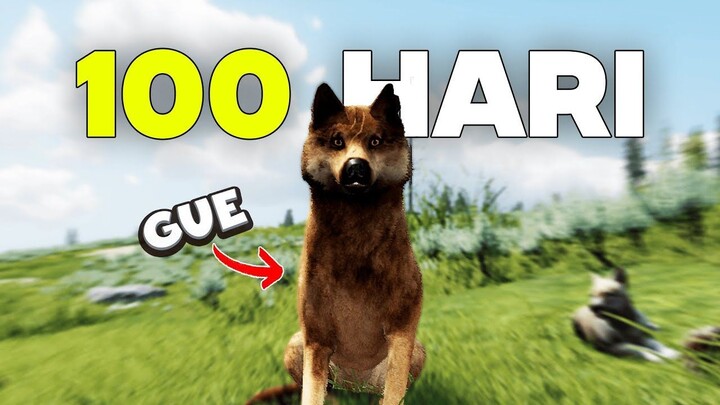 100 Hari Bertahan Hidup Sebagai Serigala Di Alam Liar,  Wolfquest Anniversary Ed