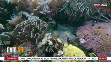 Dari Nol BeritaSatu TV - 27 Juli 2025