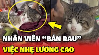 Sự thật về nhân viên BÁN RAU có LƯƠNG CAO nhưng việc lại rất nhẹ nhàng 😂 | Yêu Lu