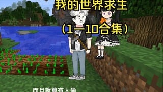 Mọi người du hành qua Minecraft để sinh tồn nhưng chỉ có mình tôi biết cách tổng hợp nó (Bộ sưu tập 