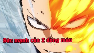 Sực mạnh từ 2 dòng máu Todoroki