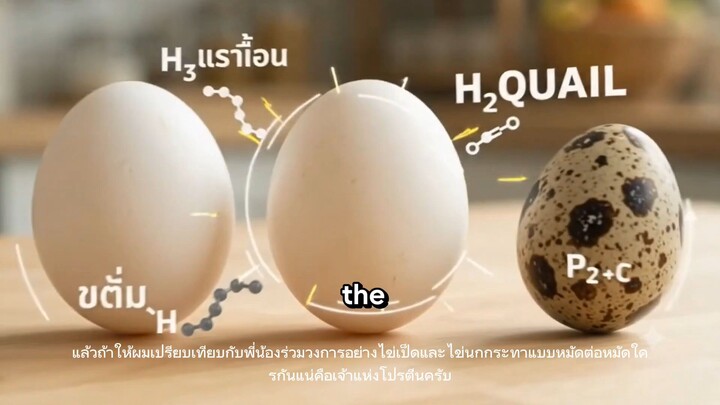 ไข่แบบไหนมีโปรตีนสูงที่สุด?