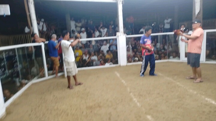 2 hits champion  1st fight  bulik