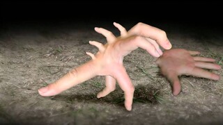 【Cyriak】【Brain Hole Short Film】Fingertip Evolution