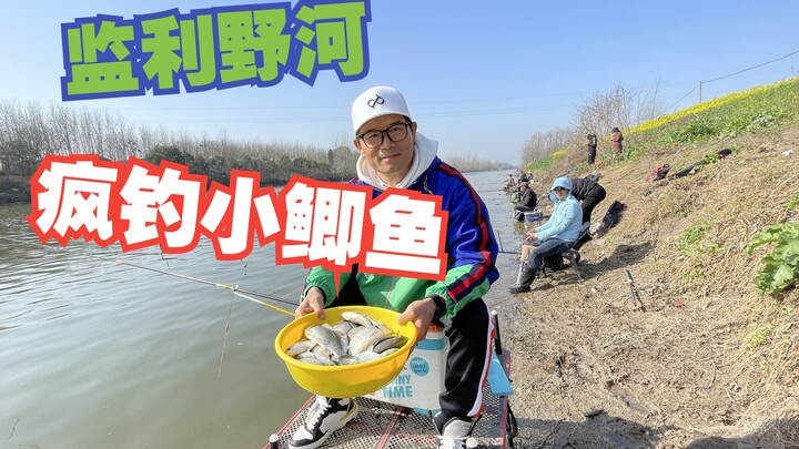 Frenzied fishing for small crucian carp in a wild river