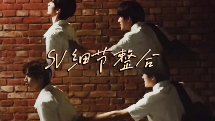 أكمل تجميع لتفاصيل SV على الإنترنت بأكملها! كل شيء له أثر يمكن تتبعه.