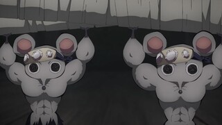 The gorgeous Tianyuan muscle rat, all the pigs say it's good