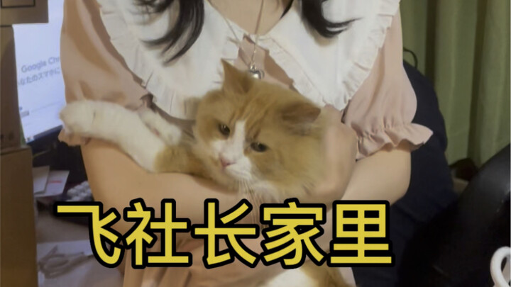 I was cracking up reading all the comments under CEO Fei’s video, with everyone gushing about how cu