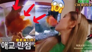 بارك تشاي يونغ، امرأة تلتقط أسماك الزينة باليد العارية! بلاك بينك روز