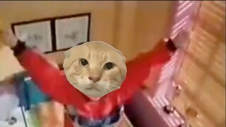 The first thing I do when I wake up in the morning...