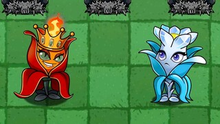 ดอกไม้พี่น้องน้ำแข็งและไฟ