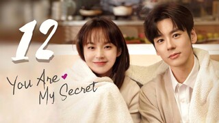 🇨🇳EP 12 | You Are My Secret (2024)[EngSub]