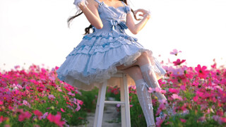 Is it pretty? I mean the flower~