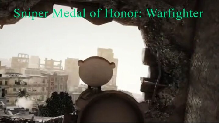 Medal of Honor Warfighter