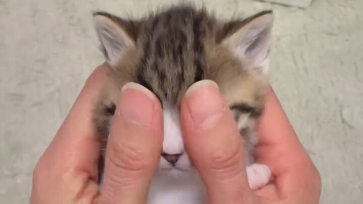 Small hand warmer