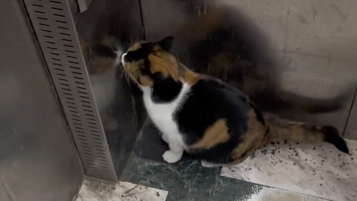 It really looks like a little baby.