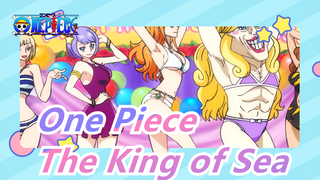 [One Piece] "Cannot Stop! This's a Party For The King of Sea to Choose His Mates!"