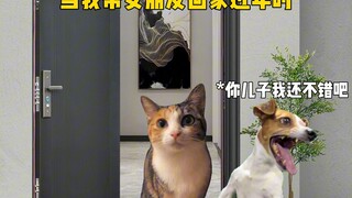 When I brought my girlfriend home for the New Year