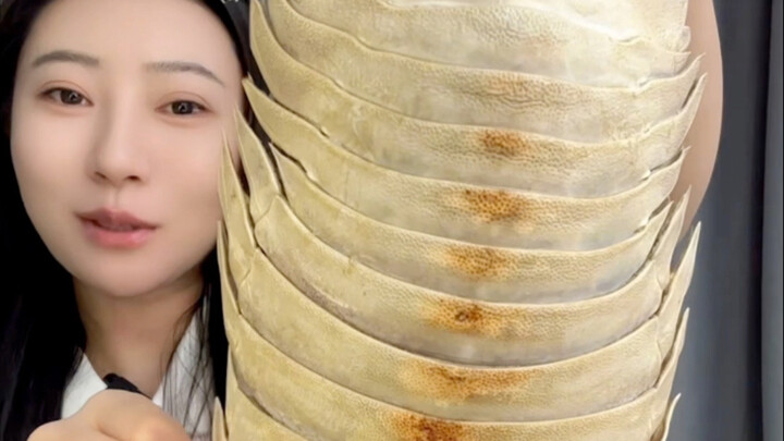 Giant Isopod