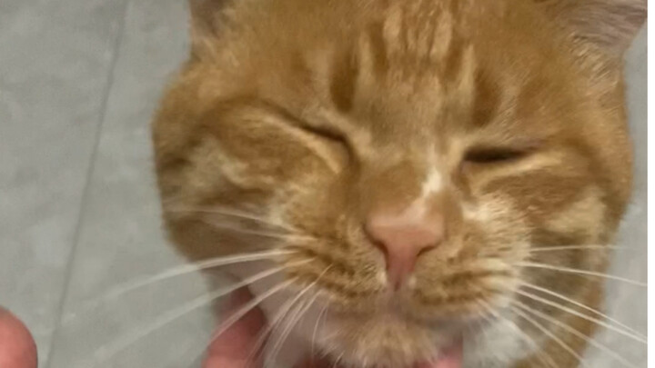 Xin lỗi, tôi đã hiểu lầm bạn là người câm suốt ba năm.