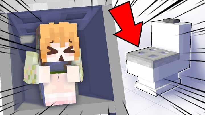 Did I lock myself in the toilet???