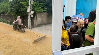 IQ phơi thóc😂, bắt gặp thầy ông nội đi làm CCCD - Top coomment.