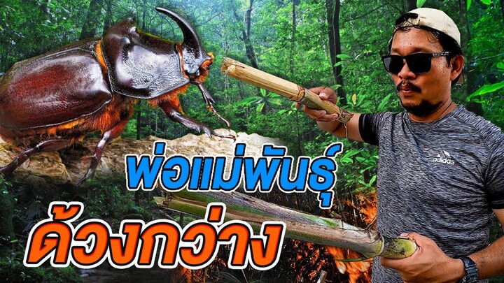 แลกสัตว์กันเลี้ยง ได้กว่างชน อย่างเท่ห์..