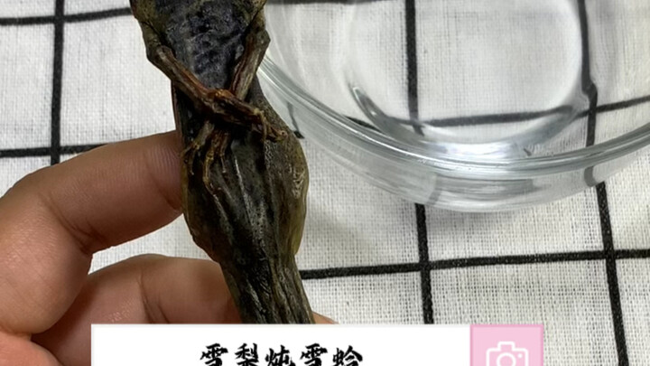 Snow frog is a real gem!