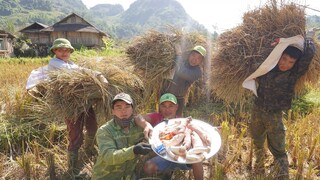 MÓN SIÊU ĐẶC BIỆT NGÀY GẶT LÚA NHÀ CHÚ ANH