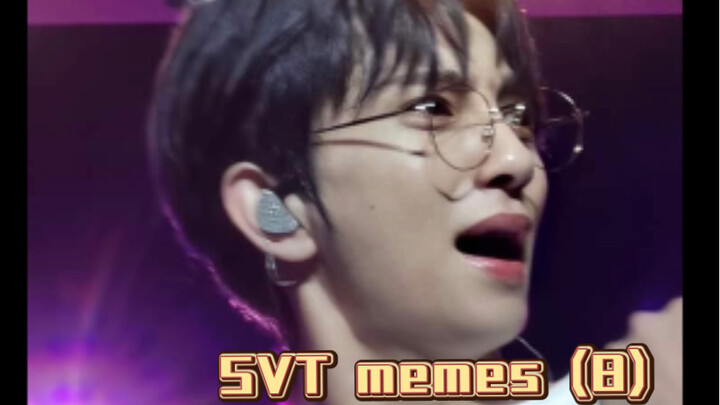 SVT's overseas memes (8)