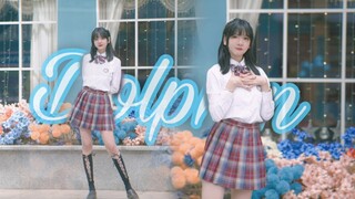 【Gikiki】☆Dolphin★夏天就是要在游乐园哒哒哒！