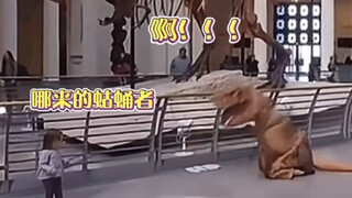 盒子怪都没有你怪… 哈哈哈哈哈哈哈哈