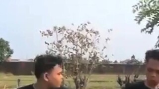 harrymaguire