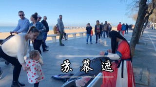 【古筝•苏慕遮】梦断不成归 几分憔悴