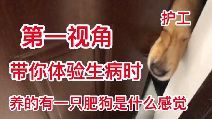 熬夜的精神小伙终究不会有好结果，好在养了一只狗