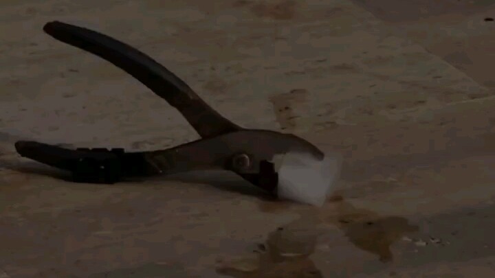 «هوايات نادرة، لا داعي للقلق بشأن رأي الجماهير»