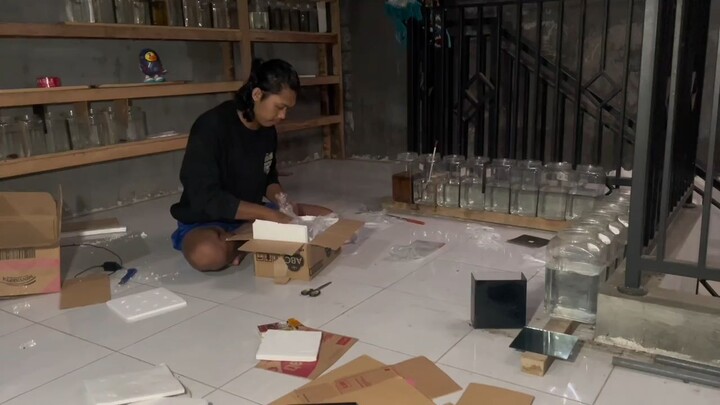 packing ikan kirim ke luar kota