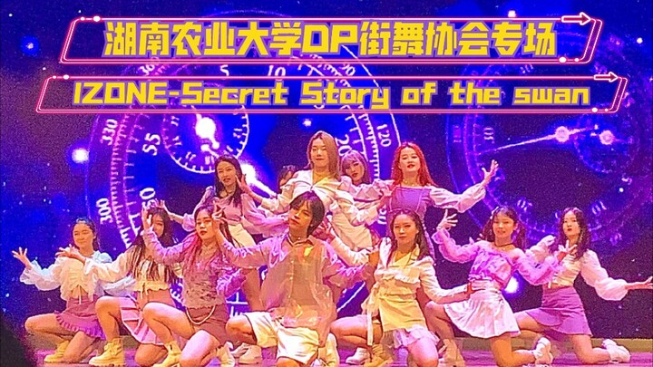 【IZ*ONE】Penampilan live cover “Fantasi Dongeng” yang sangat kompak! Malam spesial DP Street Associat