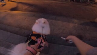 [Nuozi] Those kind people on the road ~ First attempt to travel in the new home!