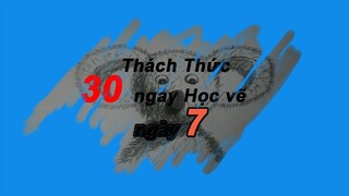 [30 Ngày] Thách Thức Học Vẽ (Ngày thứ 8)