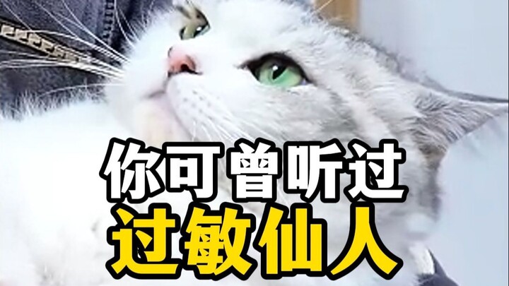 Kucing: Gak dipelihara lagi?