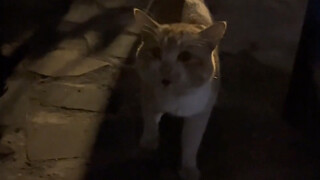 Mengapa suaranya bisa seperti ini?