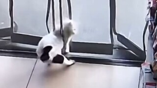 Kimi, totally baffled.