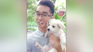 Bo đã yêu mình rồi. Hihi. cunyeucuadua yeucho yeuchomeo cún cúncon chó chómèo chócon chókhôn yeuchomeo chócute pet dog dogsoftiktok