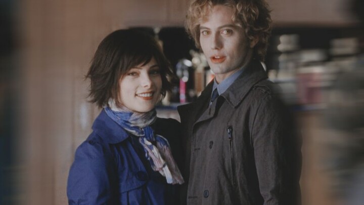 Kucing Kecil x Anjing Golden Retriever |“Itu adalah cinta pada pandangan pertama, sekaligus takdir”|