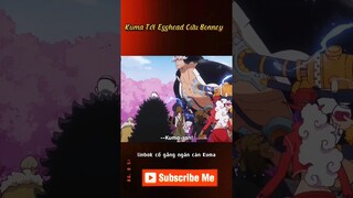 Kuma Tới Egghead Cứu Bonney #reviewanime #tomtatanime #onepiece #animehay #onepiecered #anime
