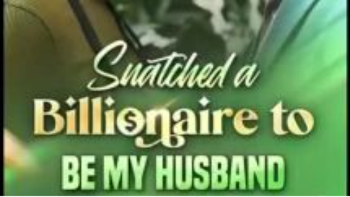 snached-my-billionaire-husband