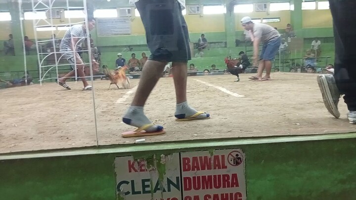 second fight 2wins in one day