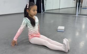 Day 27 of the Dance Check-In