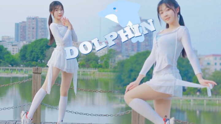 Mùa hè này, có thể cùng em gái khóa dưới đi biển không? dolphin